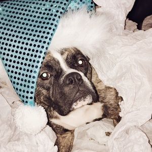 Meet your Posher, Sydney